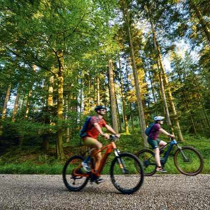 Zwei Radfahrer auf Mountainbikes fahren auf einem Schotterweg durch einen dichten Wald.