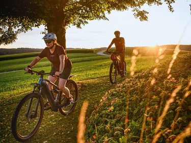 Zwei Radfahrer fahren im Abendlicht auf einem Weg durch eine grüne Landschaft unter einem großen Baum.