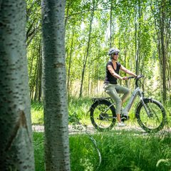 Eine Frau fährt mit einem E Bike auf einem Weg durch einen lichten Wald.