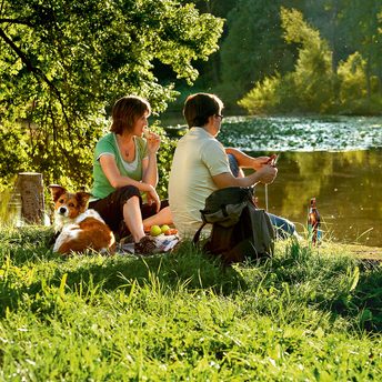 Ein Paar sitzt mit Hund auf einer Wiese am Seeufer und macht Picknick in der Abendsonne.
