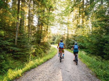 Zwei Radfahrer fahren auf einem Schotterweg durch einen Wald.