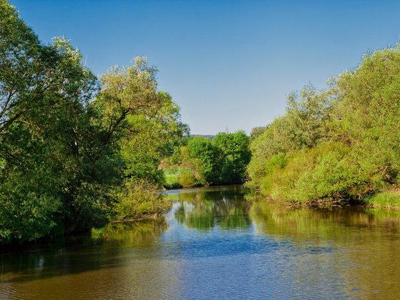 Ruhiger Fluss mit dicht bewachsenen Ufern und grünen Bäumen unter blauem Himmel.