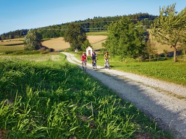 Drei Radfahrer auf einem Schotterweg in ländlicher Landschaft mit Wiesen, Feldern und Bäumen.