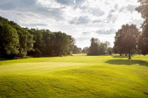 Putting Green auf einem Golfplatz in weiter Grünanlage mit Bäumen unter hellem, wolkigem Himmel.