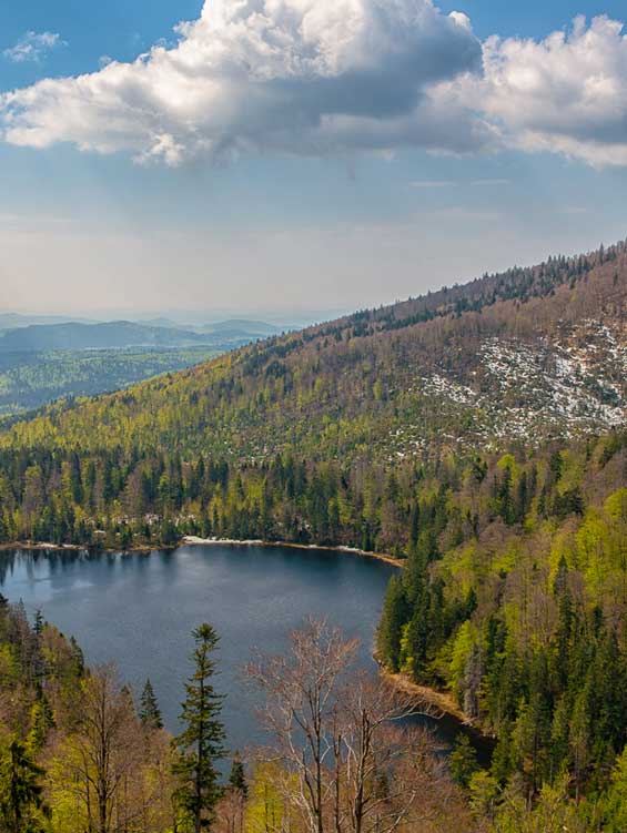 Landschaftspanorama im Bayerischen Wald mit einem kleinen Bergsee, umgeben von dicht bewaldeten Hügeln. Im Hintergrund erstrecken sich grüne Wälder bis zum Horizont unter einem Himmel mit dramatischen Wolken und Sonnenstrahlen.