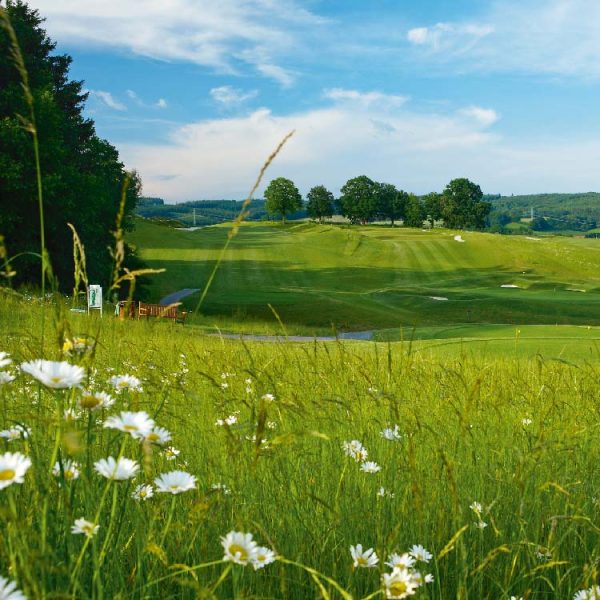 Golf-in-Bad-Birnbach
